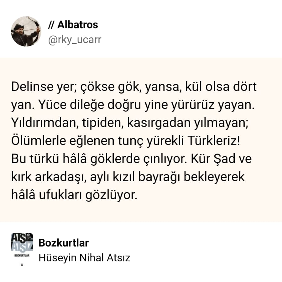 alıntı görseli